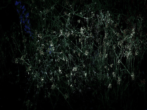 200616-3-25