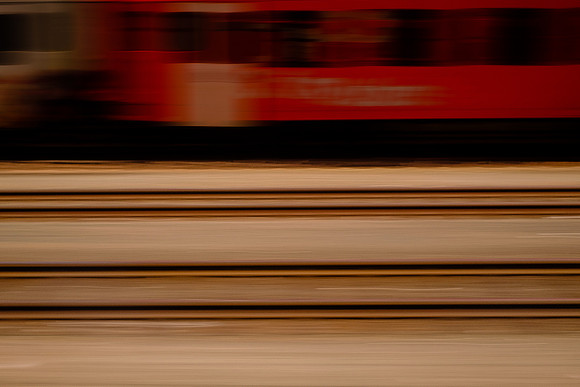 trieste #81