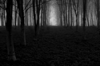 mist 5
