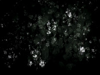 190616-9-19
