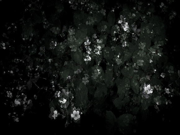 190616-9-19