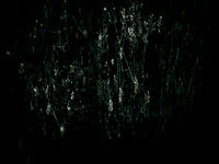 200616-3-18