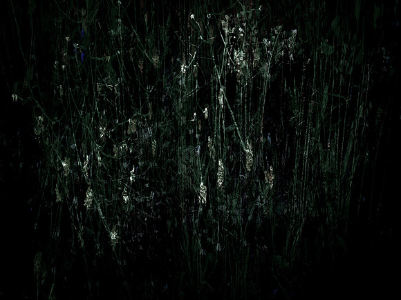 200616-3-18