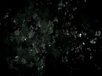 190616-9-6
