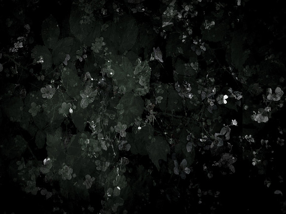 190616-9-6