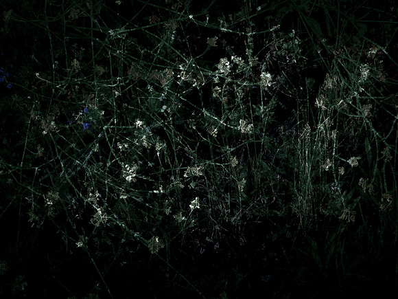 200616-3-34