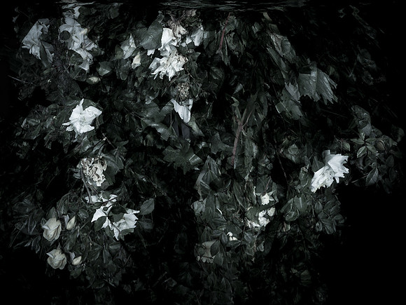 friel memorial #3 9cm 300dpi
