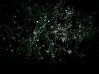 200616-3-6