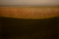oare marshes #13