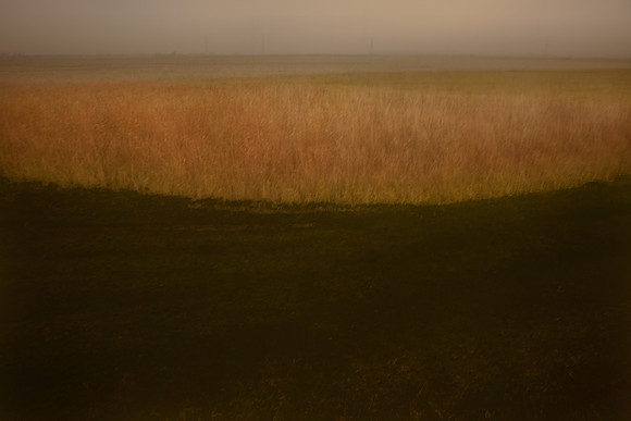 oare marshes #13