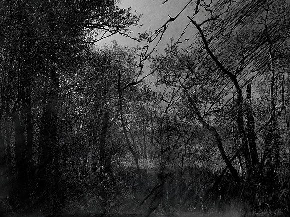 190716-17