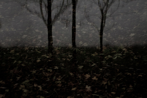 autumn #3