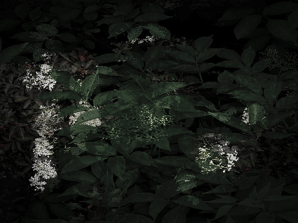 190616-3-2