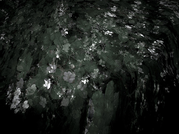 190616-12-5