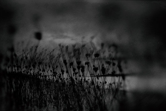 2012-10-02-291-3