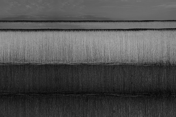 200316-2-13