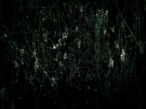 200616-3-32