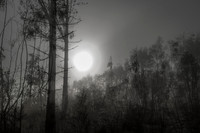 010516-1-9