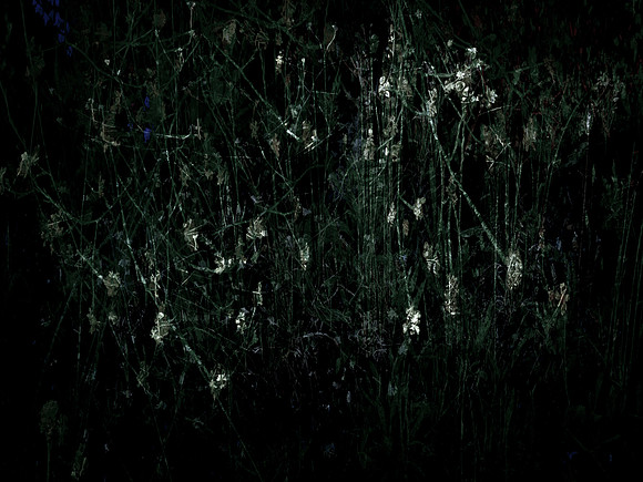200616-3-29