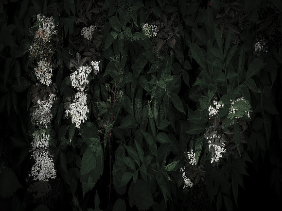 chrisfriel-memorial-21