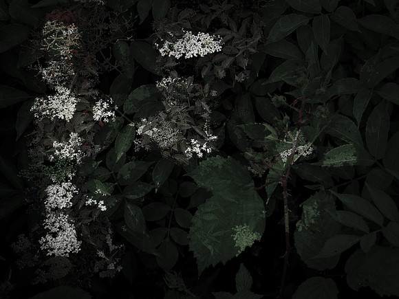 190616-3-15