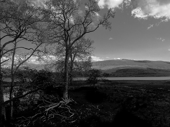 glasgow-mallaig-456