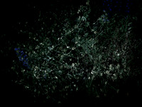 200616-3-14