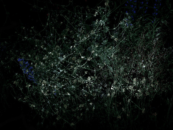 200616-3-14