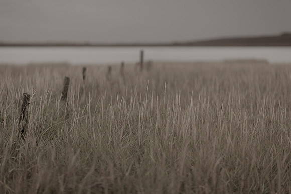 riverbank #18
