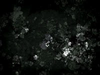 190616-9-11
