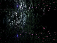 200616-2-18