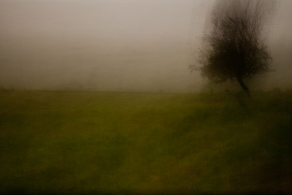 oare marshes #14