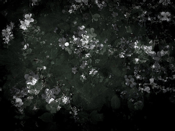 190616-9-16