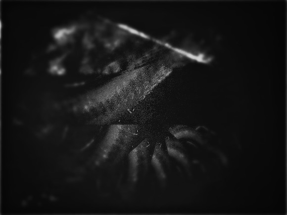 5-36