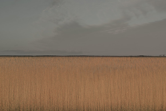 230114 #276