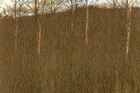 090114-285