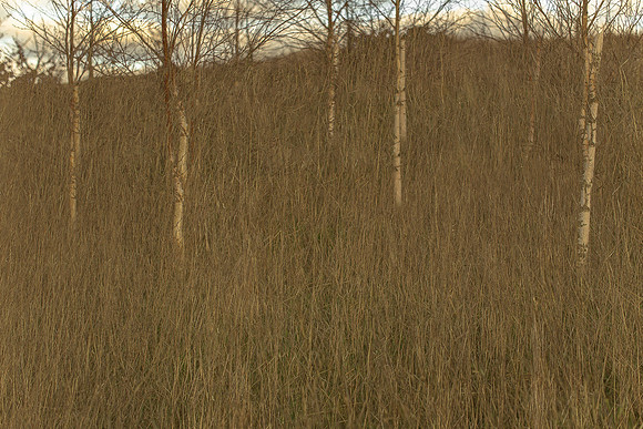 090114-285