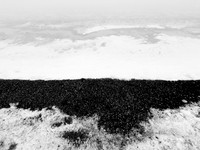 220117-1-447