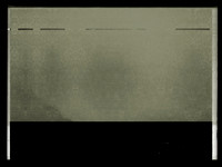 26-83