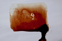 blood on glass