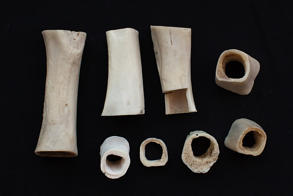 bones photo 1