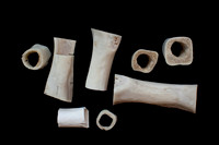 bones photo 2