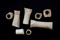 bones photo 3