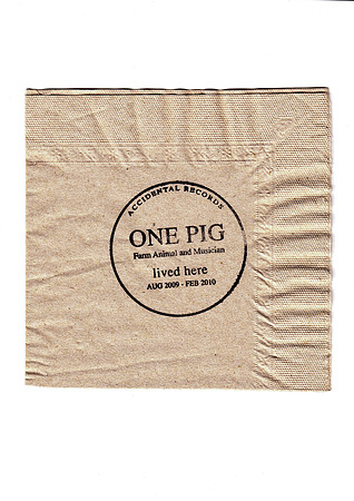 napkin on white
