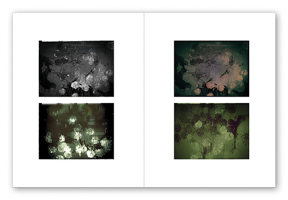 JWE-JW-RL-V210x280-PR-Spreads37_1080px