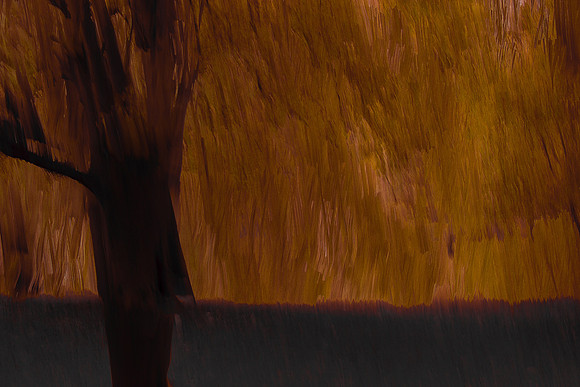 trees 24 #126