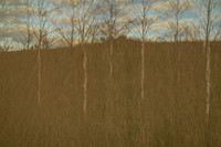 090114-305
