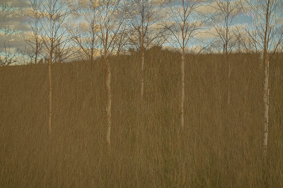 090114-305