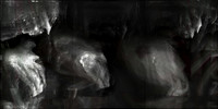 220317-1-6