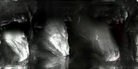 220317-1-11